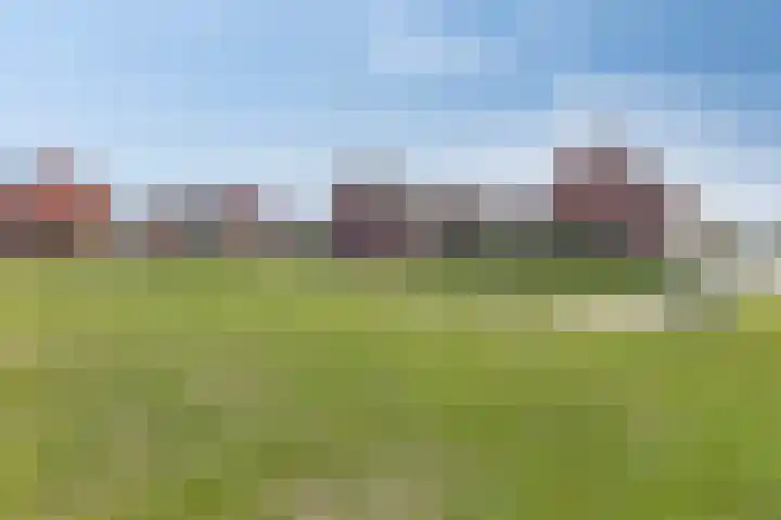 Koolwitje 34 Someren thumbnail 39