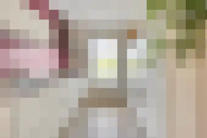 Koolwitje 34 Someren thumbnail 4
