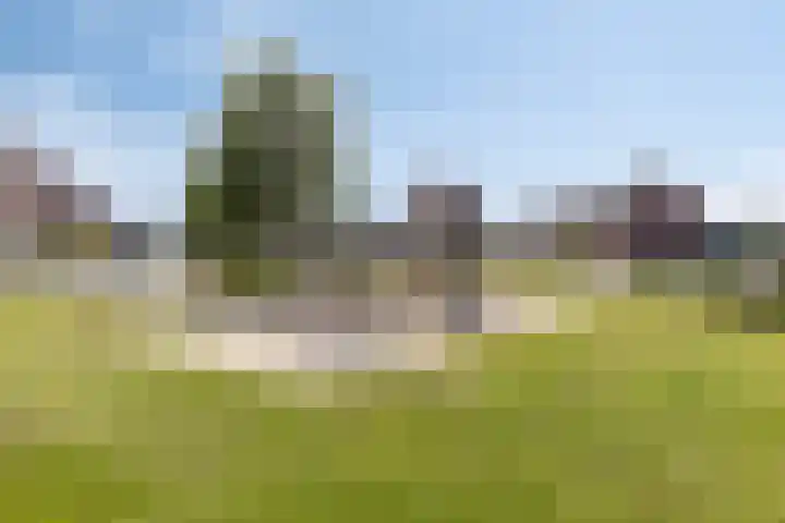 Koolwitje 34 Someren thumbnail 40