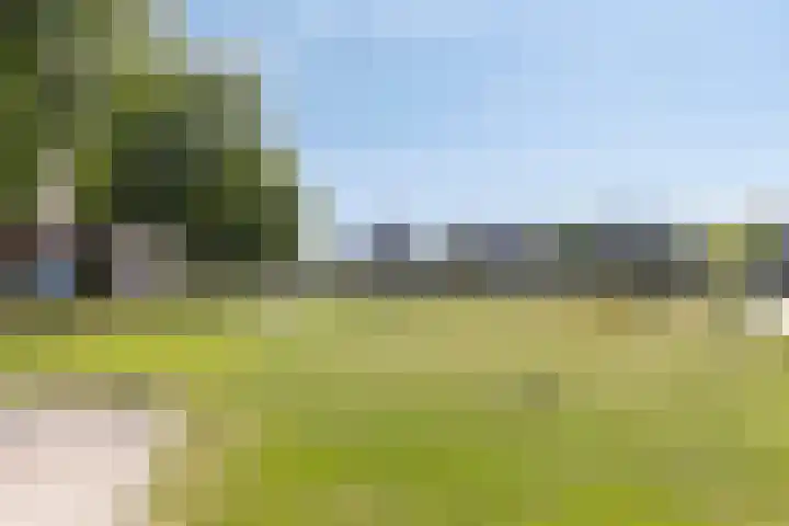 Koolwitje 34 Someren thumbnail 41