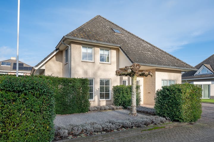 Koolzaad 3 in Ruurlo foto