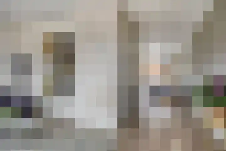Koolzaadakker 8 Heino thumbnail 10