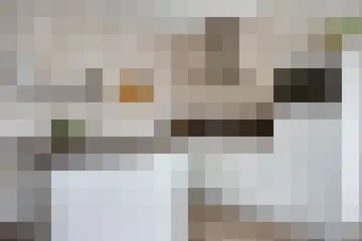 Koolzaadakker 8 Heino thumbnail 13