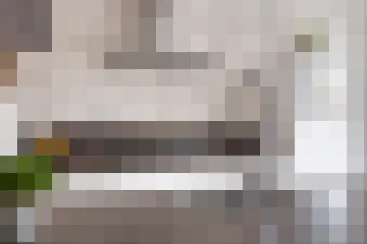 Koolzaadakker 8 Heino thumbnail 14