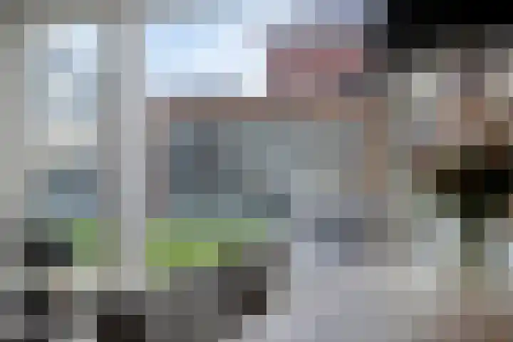 Koolzaadakker 8 Heino thumbnail 15