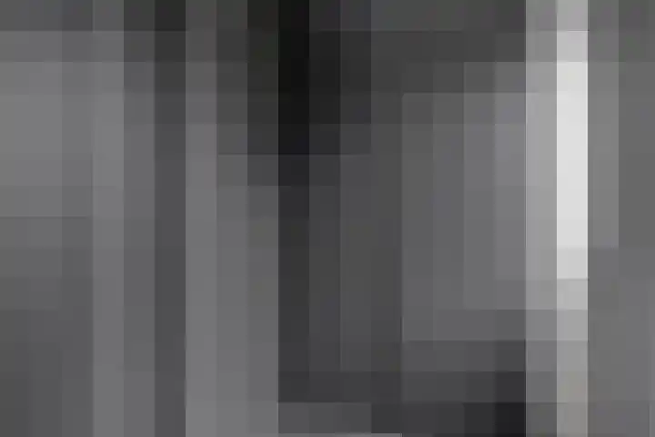 Koolzaadakker 8 Heino thumbnail 17