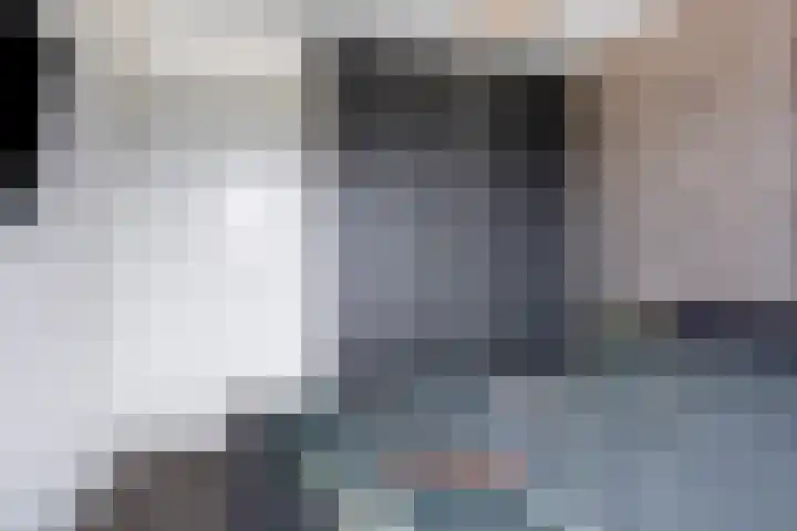 Koolzaadakker 8 Heino thumbnail 24