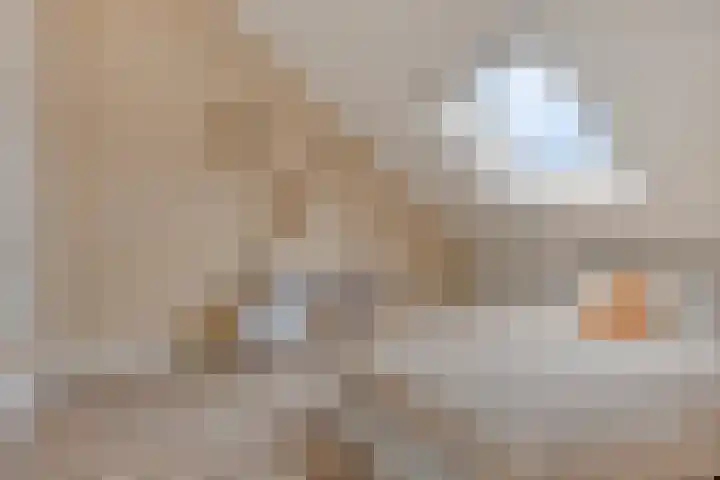 Koolzaadakker 8 Heino thumbnail 28