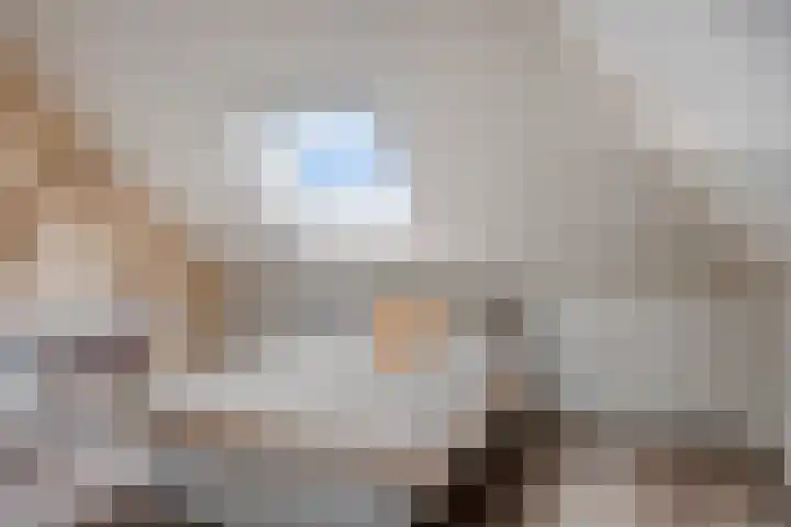 Koolzaadakker 8 Heino thumbnail 30