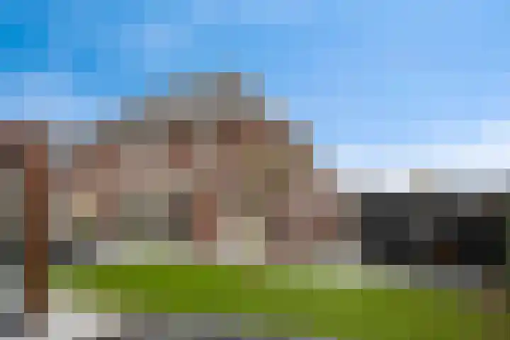 Koolzaadakker 8 Heino thumbnail 33