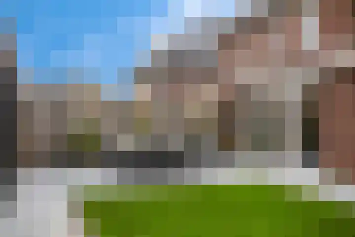 Koolzaadakker 8 Heino thumbnail 36