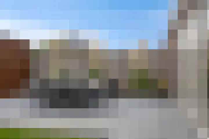 Koolzaadakker 8 Heino thumbnail 37