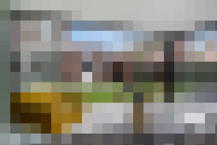 Koolzaadakker 8 Heino thumbnail 39