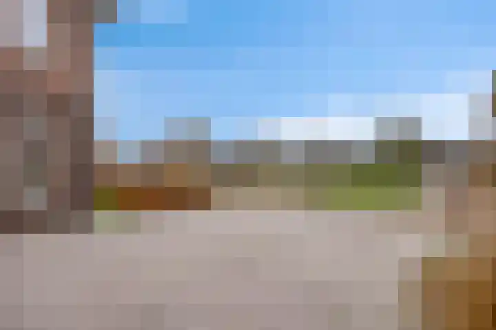 Koolzaadakker 8 Heino thumbnail 4