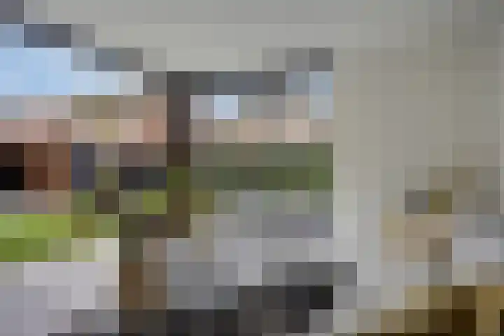 Koolzaadakker 8 Heino thumbnail 40