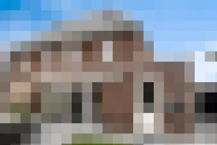 Koolzaadakker 8 Heino thumbnail 44