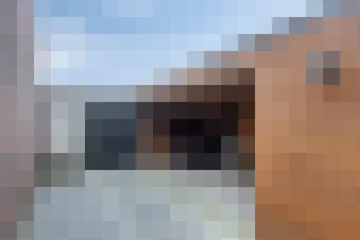 Koolzaadakker 8 Heino thumbnail 45