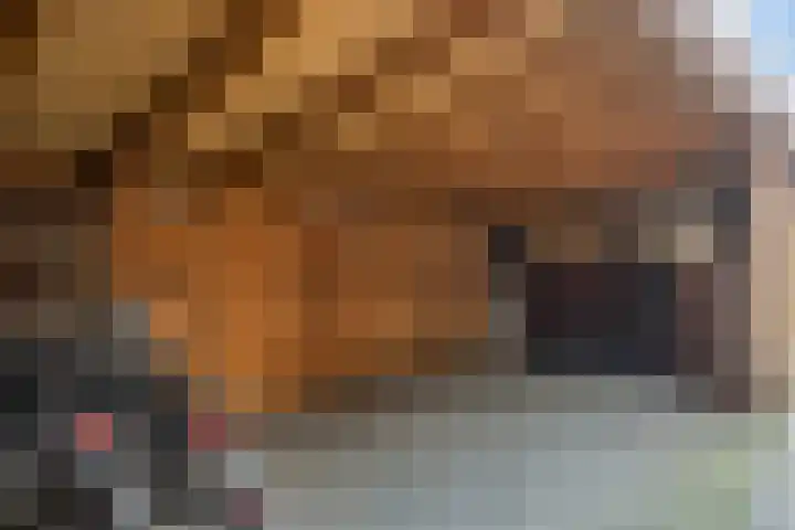 Koolzaadakker 8 Heino thumbnail 46
