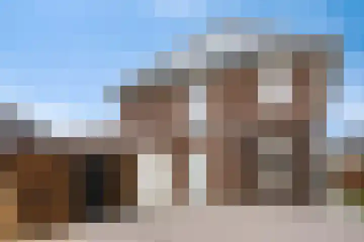 Koolzaadakker 8 Heino thumbnail 47