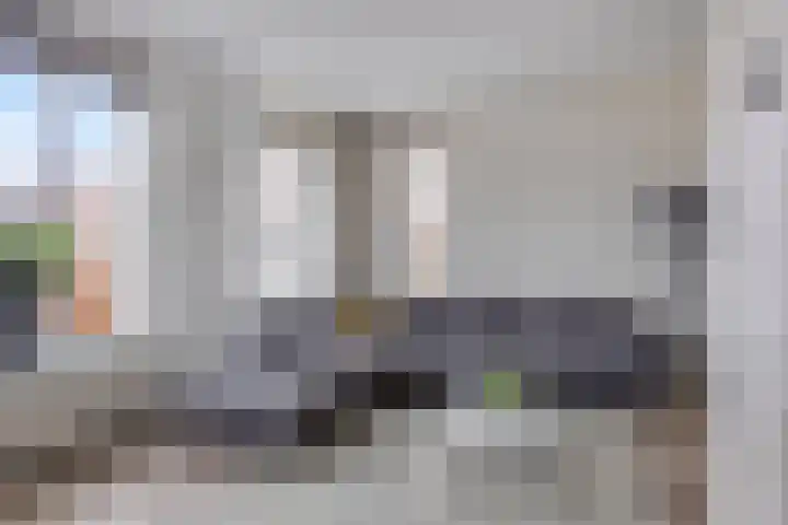 Koolzaadakker 8 Heino thumbnail 7
