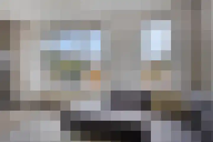 Koolzaadakker 8 Heino thumbnail 8
