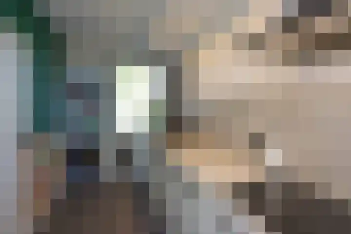 Koolzaadhof 2 Nagele thumbnail 12