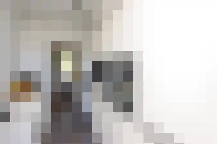Koolzaadhof 2 Nagele thumbnail 13