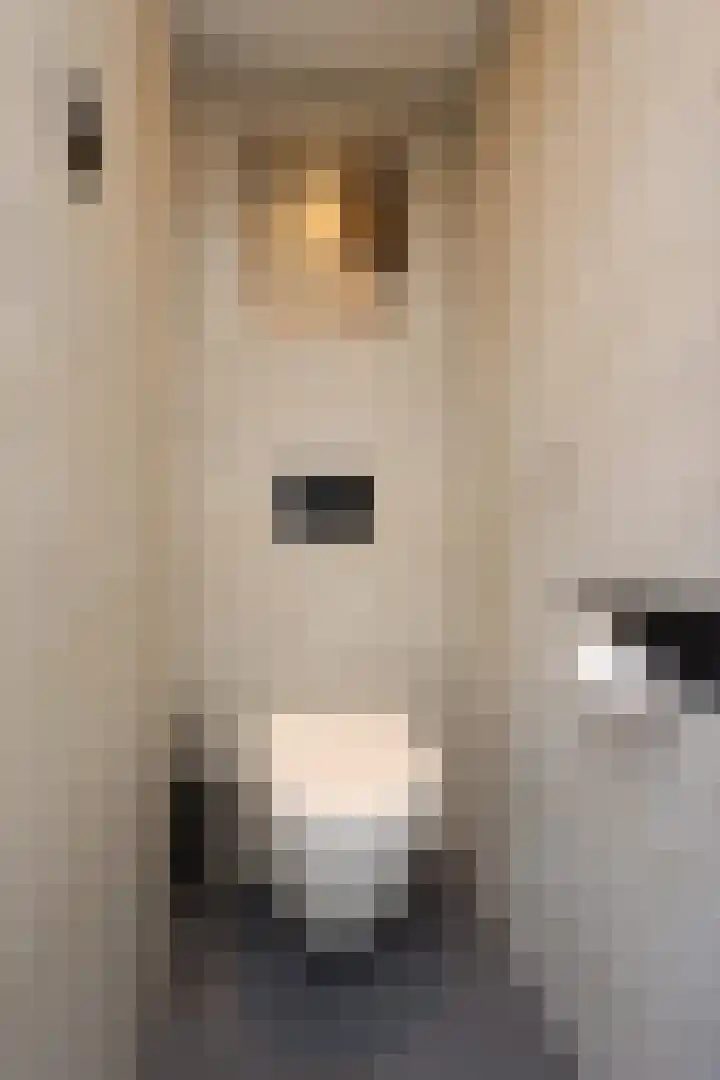 Koolzaadhof 2 Nagele thumbnail 15