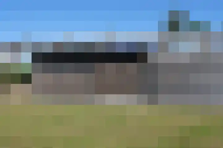 Koolzaadhof 2 Nagele thumbnail 32