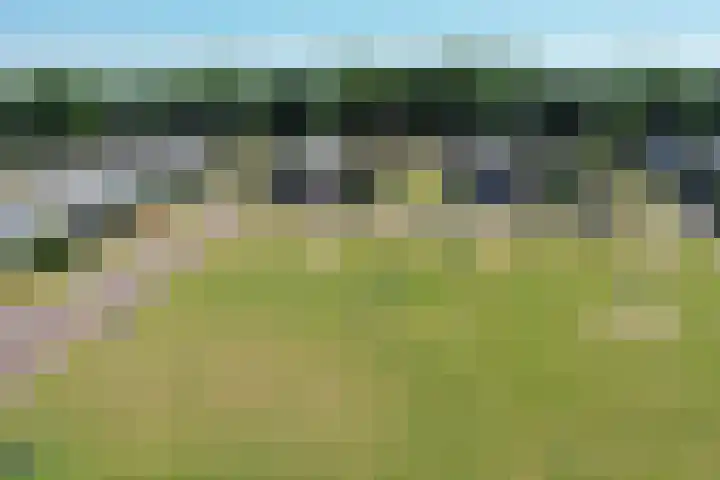 Koolzaadhof 2 Nagele thumbnail 34