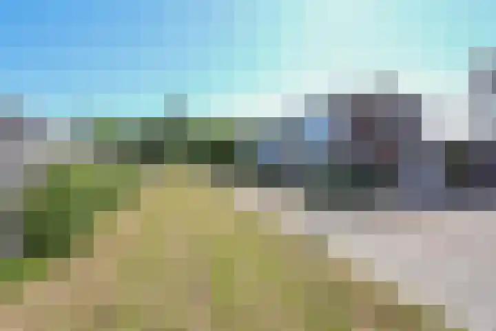 Koolzaadhof 2 Nagele thumbnail 35