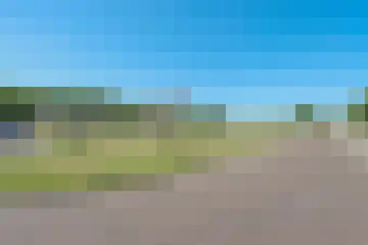 Koolzaadhof 2 Nagele thumbnail 36