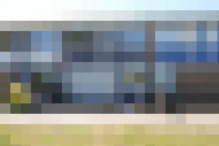 Koolzaadhof 2 Nagele thumbnail 6