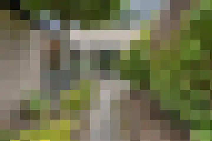 Koolzaadland 13 Leusden thumbnail 4