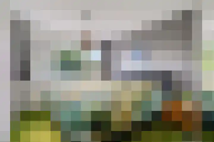 Koolzaadland 23 Leusden thumbnail 12