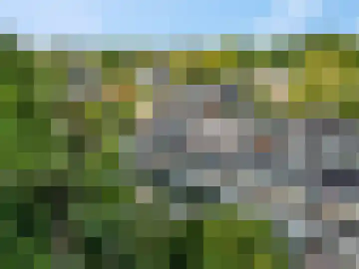 Koolzaadland 23 Leusden thumbnail 31