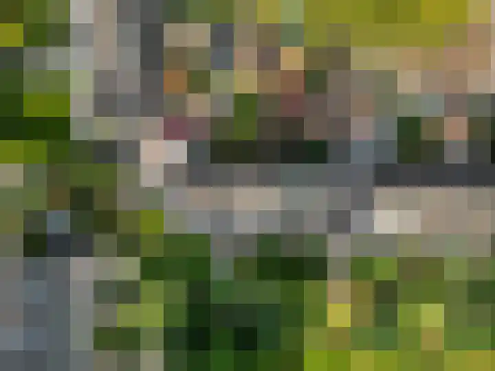 Koolzaadland 23 Leusden thumbnail 32