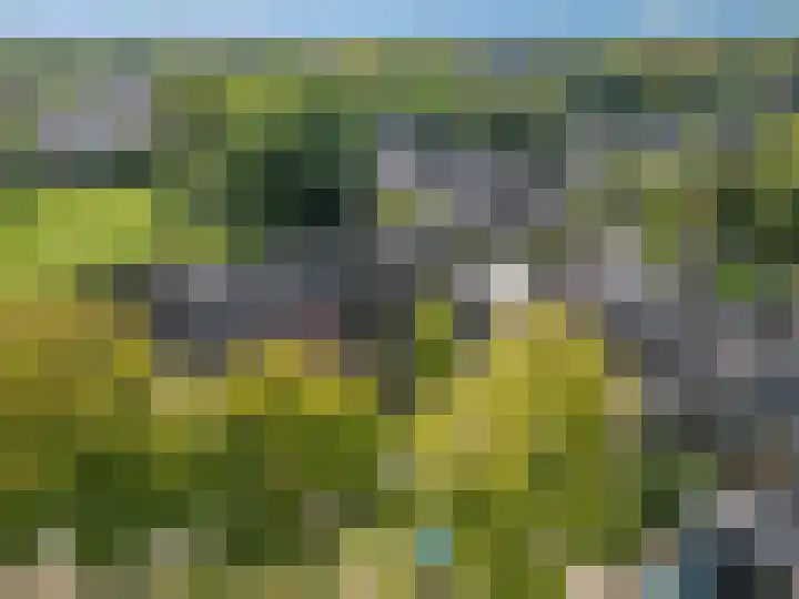 Koolzaadland 23 Leusden thumbnail 33