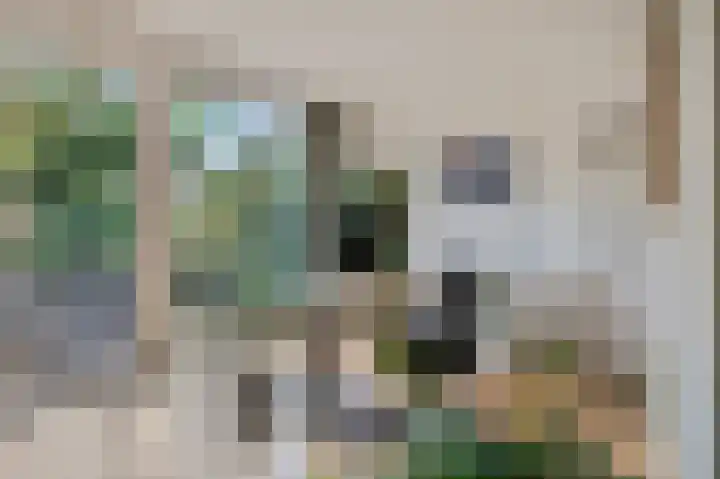 Koolzaadland 23 Leusden thumbnail 5