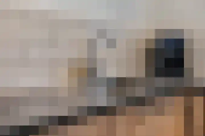 Koolzaadland 23 Leusden thumbnail 9