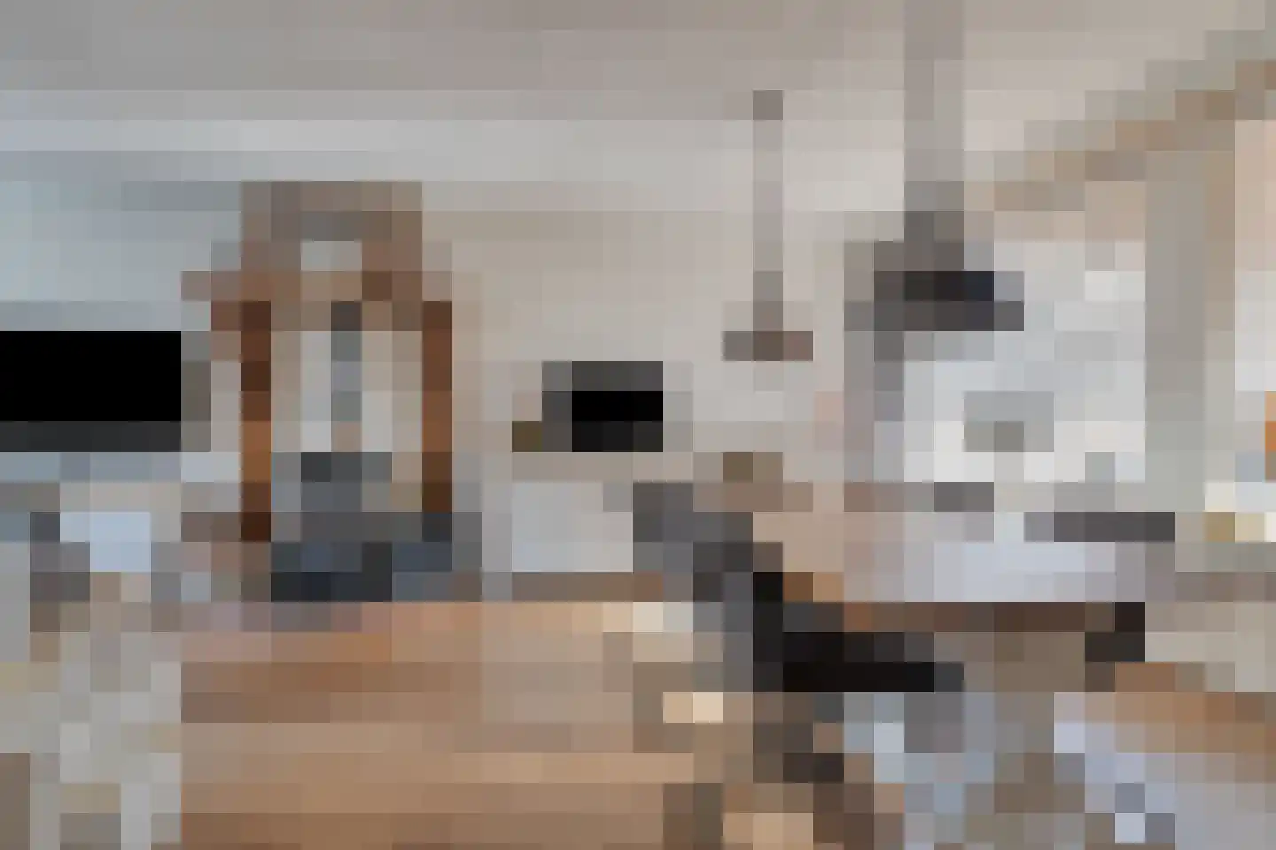 Koolzaadpad 5 Eindhoven thumbnail 12