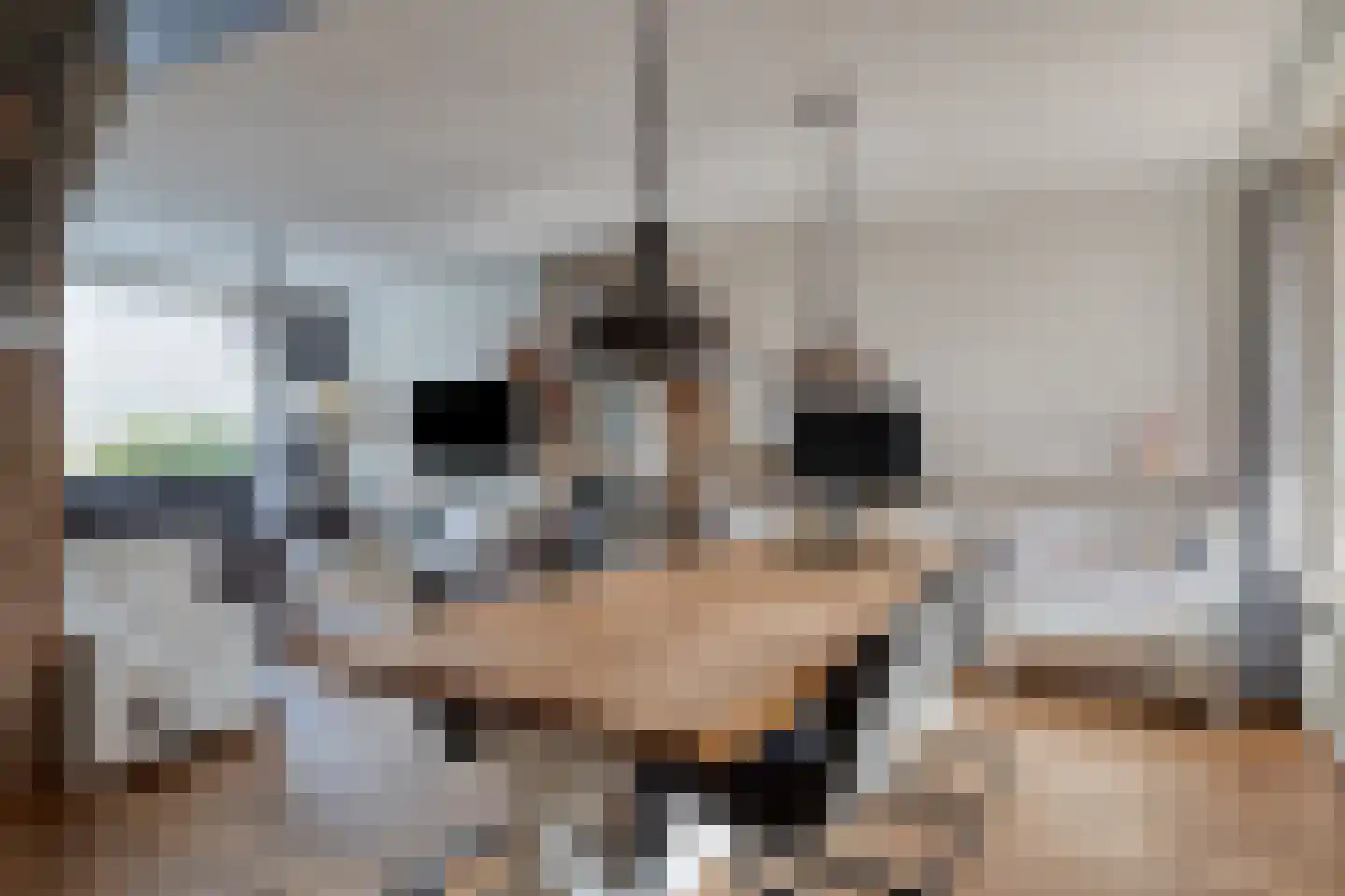 Koolzaadpad 5 Eindhoven thumbnail 14