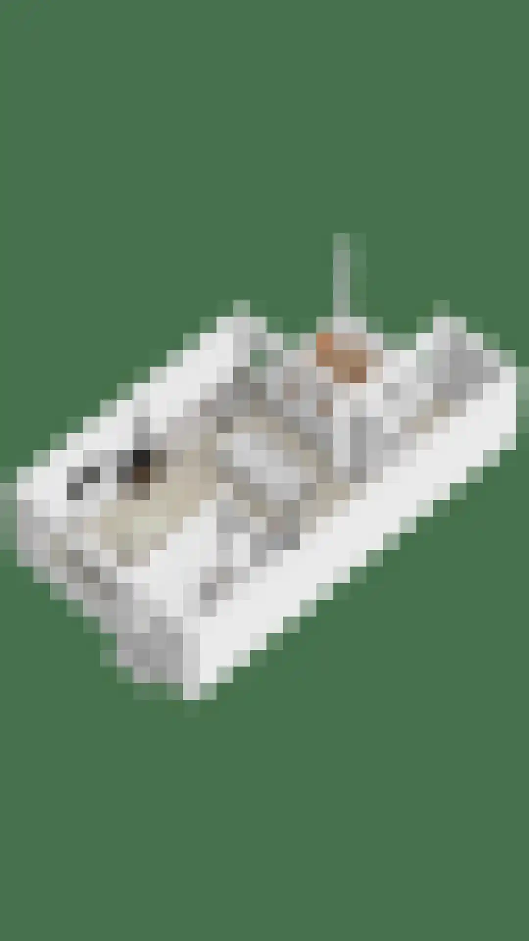 Koolzaadpad 5 Eindhoven thumbnail 38