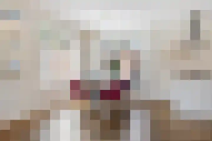 Koopmansstraat 5 Heeten thumbnail 10