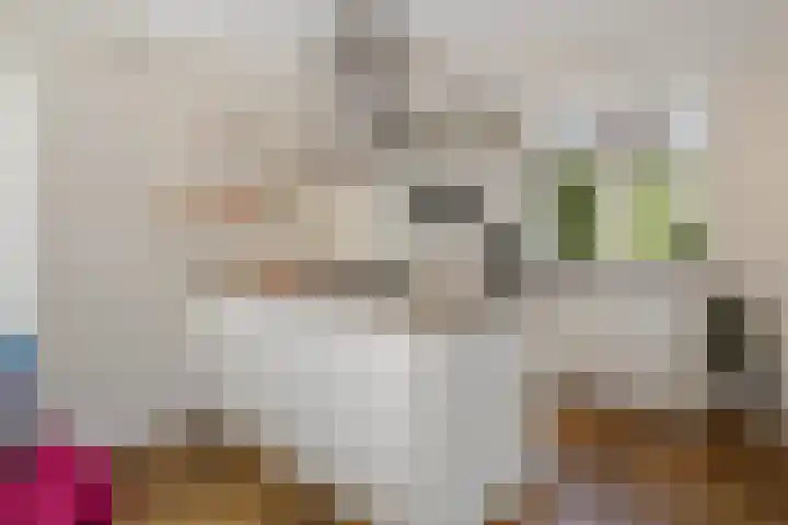 Koopmansstraat 5 Heeten thumbnail 13