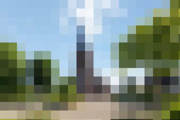 Koopmansstraat 5 Heeten thumbnail 34