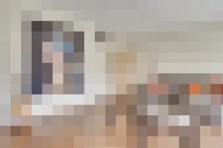 Koopmanstraat 18 Uden thumbnail 18