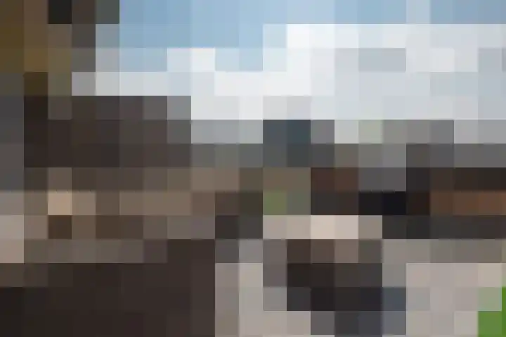 Koopmanstraat 18 Uden thumbnail 37