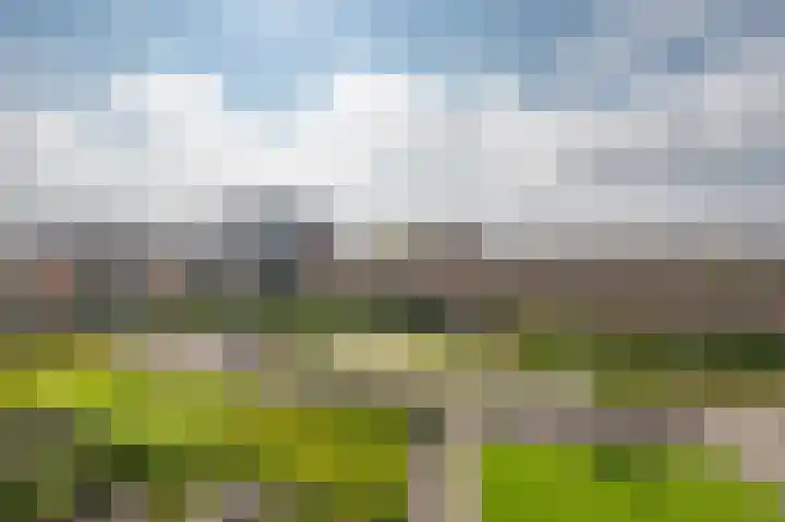 Koopmanstraat 18 Uden thumbnail 39