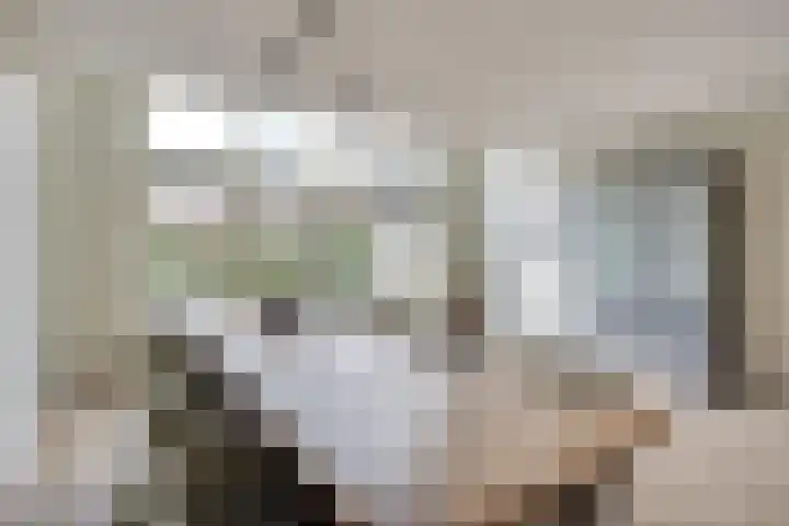 Koopmanstraat 18 Uden thumbnail 7